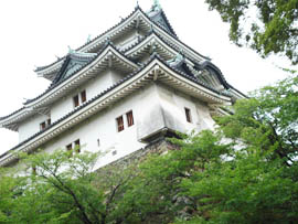 Wakayama Castle 1