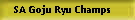 SA Goju Ryu Champs